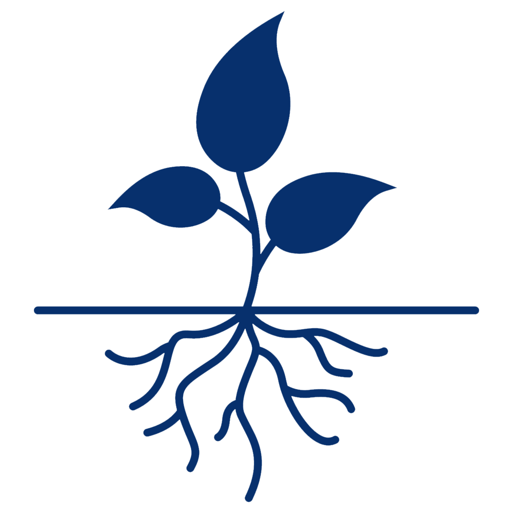 BOTANICAL NAME