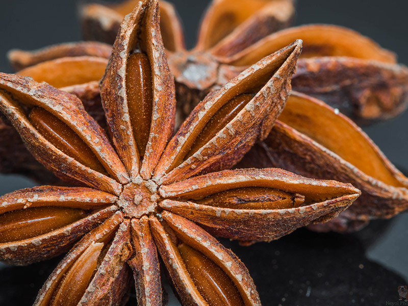 kelpsea_iStock_000014082399XSmall