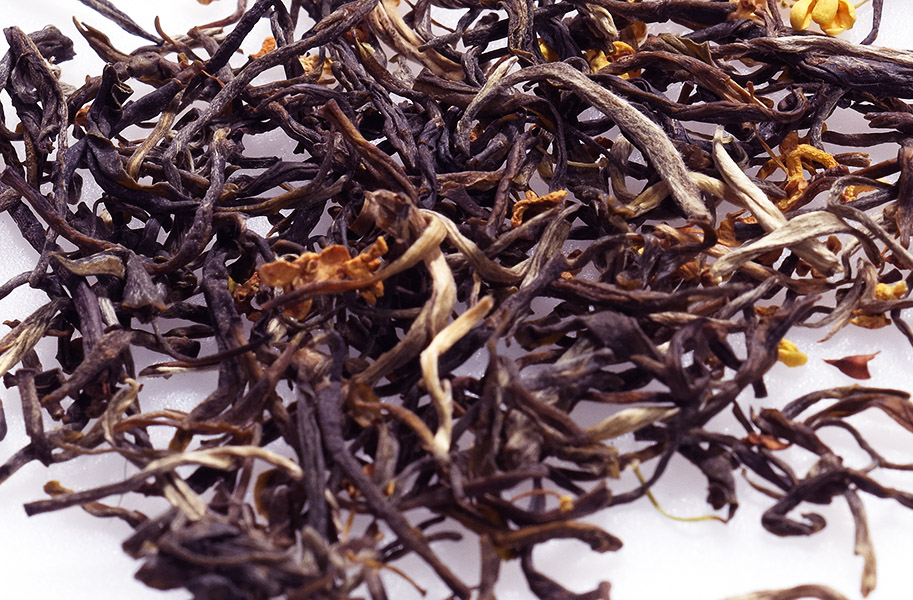 kelpsea_iStock_000014082399XSmall