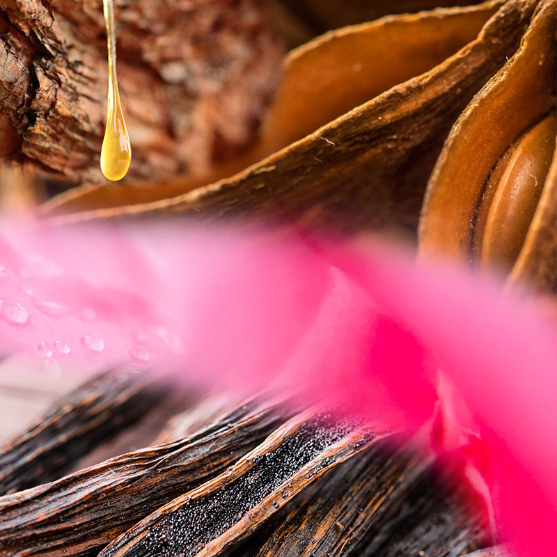 kelpsea_iStock_000014082399XSmall
