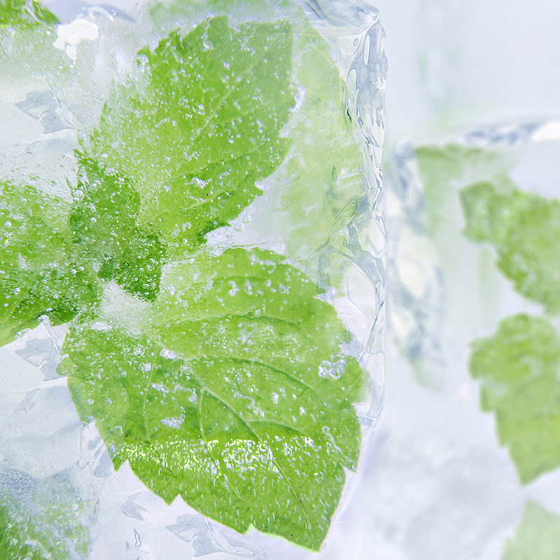 kelpsea_iStock_000014082399XSmall