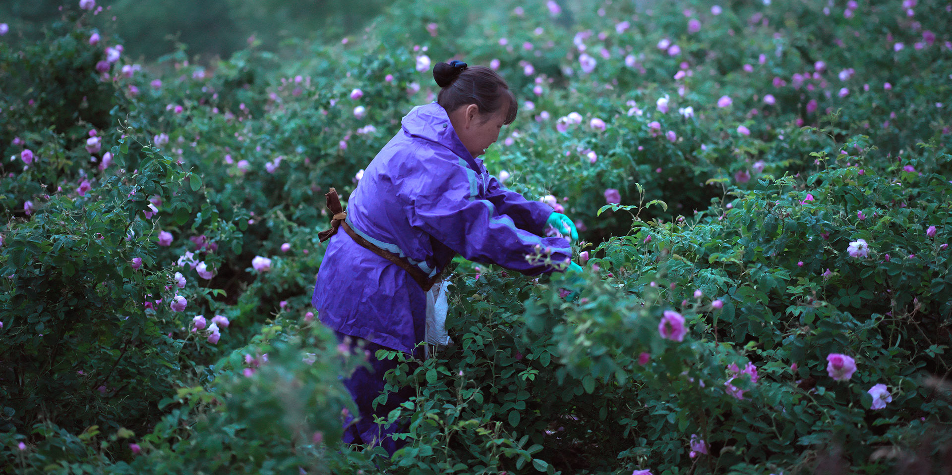 RESPONSIBLE SOURCING AND SUSTAINABLE