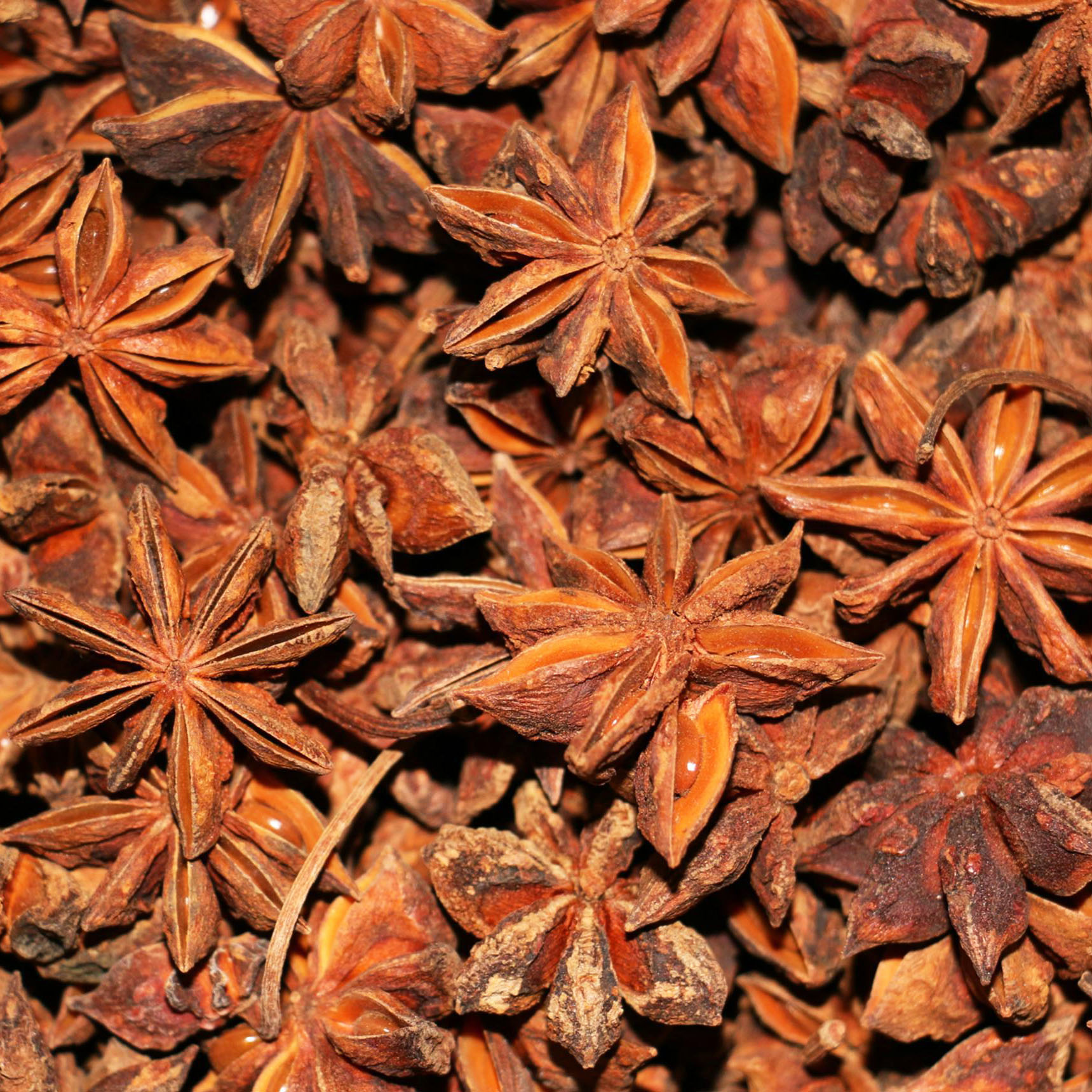 kelpsea_iStock_000014082399XSmall